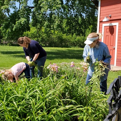 Volunteers gardening